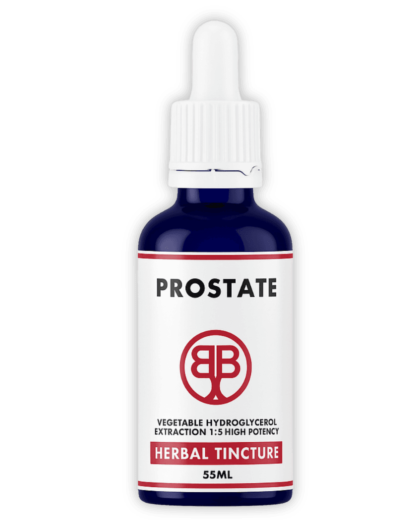 Prostate